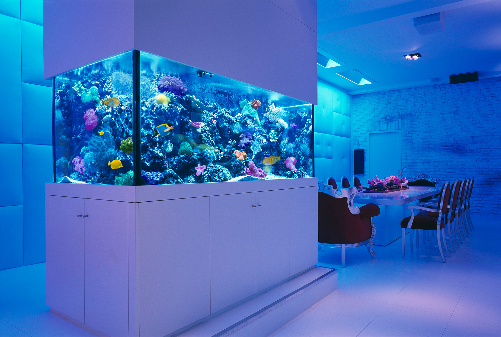 Custom Aquariums - Okeanos Aquascaping