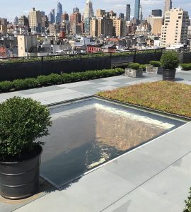 NYC commercial pond design