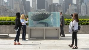 Designer of Museum Aquariums New York City